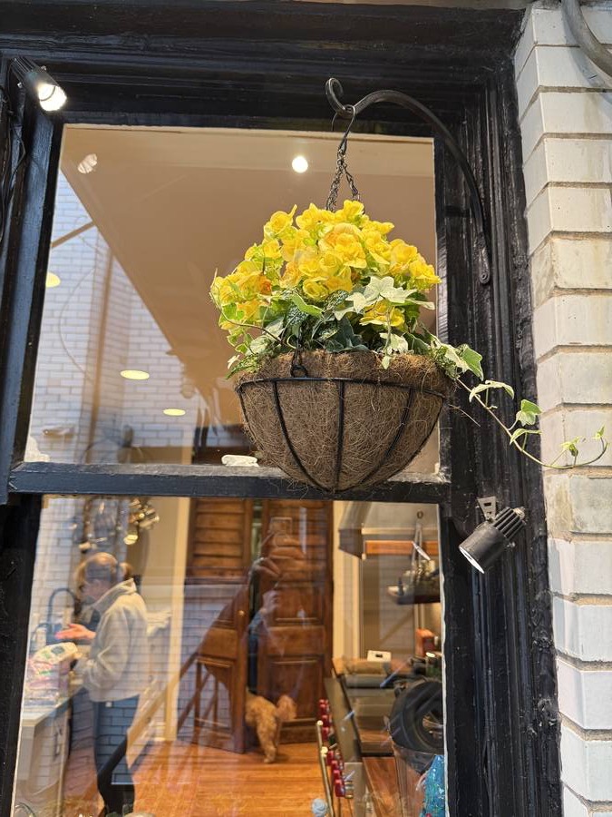 Yellow begonia hanging basket
