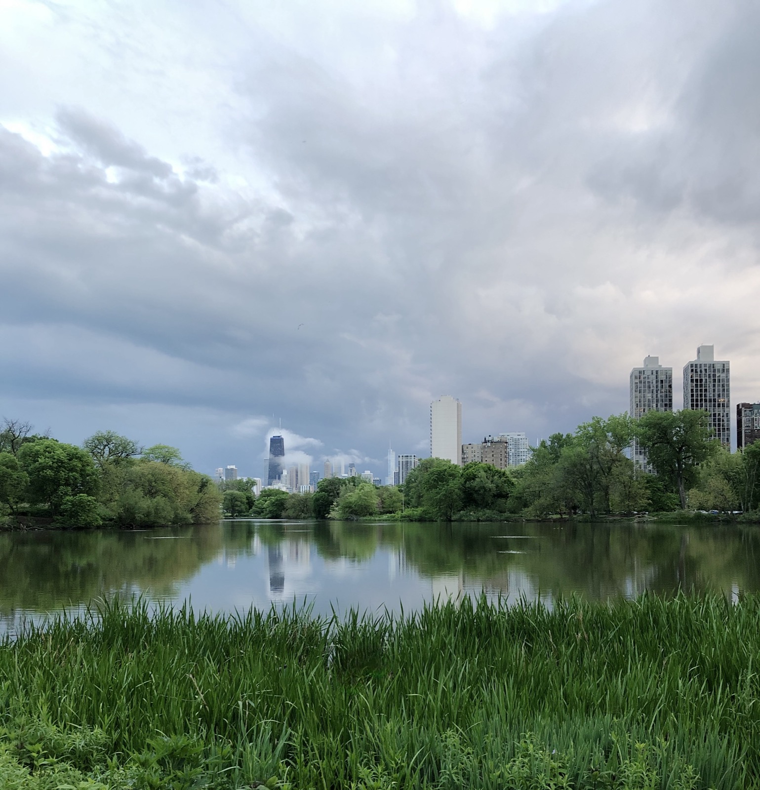 Lincoln Park lagoon with Chicago skyline and wildflowers