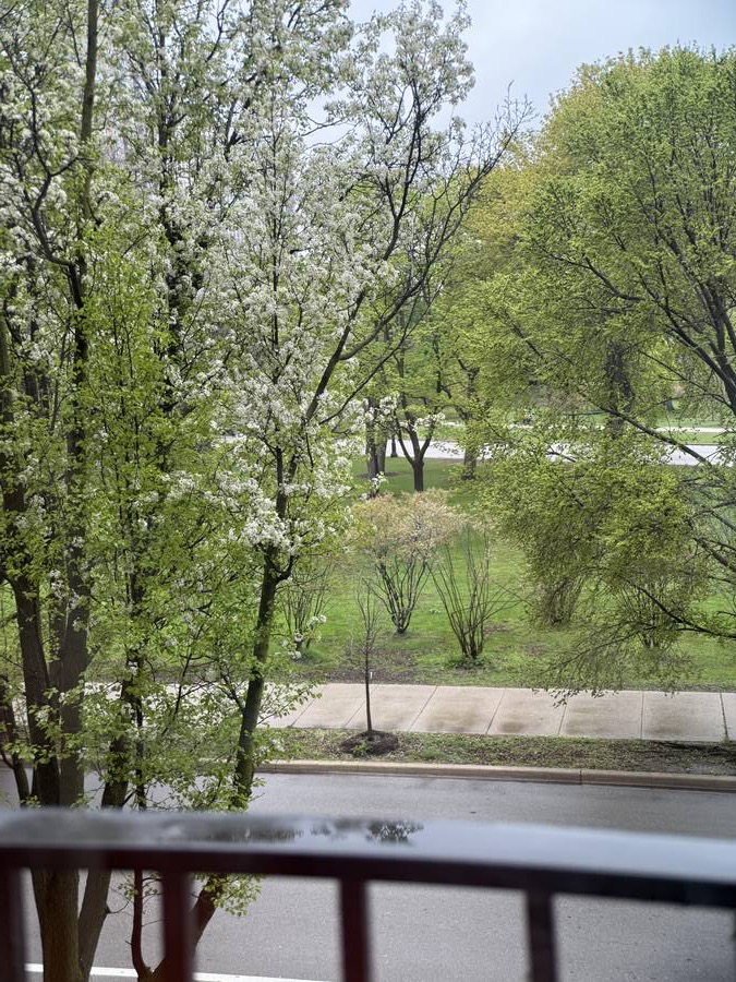 Spring blossoms viewed from a balcony